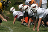 Mighty Mite White vs North Allegheny - scrimmage - Picture 01