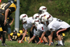 Mighty Mite White vs North Allegheny - scrimmage - Picture 06