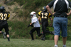 Mighty Mite White vs North Allegheny - scrimmage - Picture 08