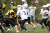 Mighty Mite White vs North Allegheny - scrimmage - Picture 14