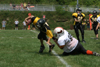 Mighty Mite White vs North Allegheny - scrimmage - Picture 19