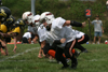 Mighty Mite White vs North Allegheny - scrimmage - Picture 23