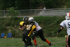 Mighty Mite White vs North Allegheny - scrimmage - Picture 24