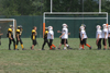 Mighty Mite White vs North Allegheny - scrimmage - Picture 30