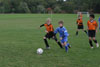 BPFC Black vs Kiski Strikers pg 2 - Picture 07