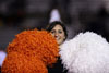 BPHS Band at McKeesport Playoff Game #1 - Picture 17