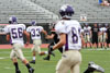 BPHS JV vs Plum p1 - Picture 29