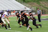 BPHS JV vs Plum p1 - Picture 48