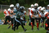 Mighty Mite White vs Seneca Valley - Picture 22