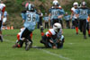 Mighty Mite White vs Seneca Valley - Picture 25