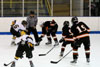 Hockey - Freshmen - BP vs Mt Lebanon p3 - Picture 60