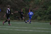 Century United BU13 vs Erie Admirals - Picture 14