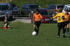 BPFC Black vs N Allegheny pg2 - Picture 18