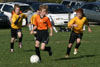 BPFC Black vs N Allegheny pg2 - Picture 23