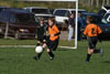 BPFC Black vs N Allegheny pg2 - Picture 27