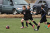 Century United BU13 v North Stars p2 - Picture 17