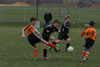 BPFC Black vs Orange pg 2 - Picture 16