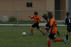 BPFC Black vs Orange pg 2 - Picture 25