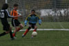 BPFC Black vs Orange pg 2 - Picture 44