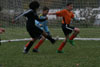 BPFC Black vs Orange pg 2 - Picture 45