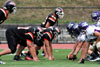 BPHS JV vs Plum p3 - Picture 15