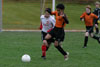 BPFC Black vs Peters Twp pg 1 - Picture 37