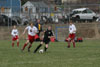 BPFC Black vs Scottdale page 2 - Picture 05