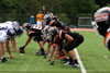 BPHS JV vs Plum p2 - Picture 60