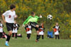BP Boys Jr High vs North Allegheny p1 - Picture 05