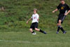 BP Boys Jr High vs North Allegheny p1 - Picture 27