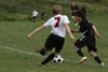 BP Boys Jr High vs North Allegheny p1 - Picture 37
