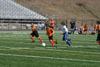 BPFC Orange at BP tournament - Picture 09