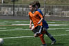 BPFC Orange at BP tournament - Picture 21