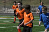 BPFC Orange at BP tournament - Picture 22