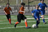 BPFC Orange at BP tournament - Picture 28