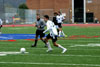 BPHS Boys Soccer PIAA Playoff v Pine Richland pg 2 - Picture 13