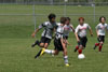 BPFC Black vs North Hills pg2 - Picture 02