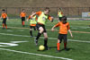 BPFC Black vs Orange at Tournament - Picture 01