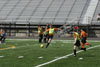 BPFC Black vs Orange at Tournament - Picture 04