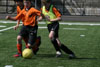 BPFC Black vs Orange at Tournament - Picture 38