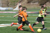 BPFC Black vs Orange at Tournament - Picture 43