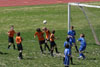 BPFC Black vs Mt Lebo Strikers - page 1 - Picture 05