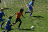 BPFC Black vs Mt Lebo Strikers - page 1 - Picture 08