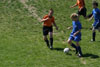 BPFC Black vs Mt Lebo Strikers - page 1 - Picture 11