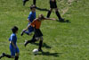 BPFC Black vs Mt Lebo Strikers - page 1 - Picture 18