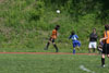 BPFC Black vs Mt Lebo Strikers - page 1 - Picture 49