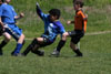 BPFC Black vs Mt Lebo Thunder - page 1 - Picture 14