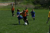 BPFC Black vs Mt Lebo Thunder - page 1 - Picture 25