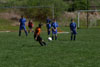 BPFC Black vs Mt Lebo Thunder - page 1 - Picture 35