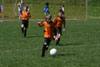 BPFC Black vs Mt Lebo Thunder - page 1 - Picture 37